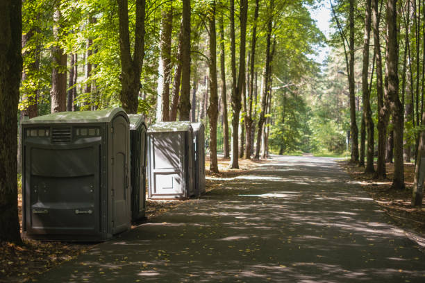 Best Affordable portable toilet rental  in Payson, AZ